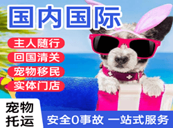 常州奔牛航空货运国际宠物托运 【国